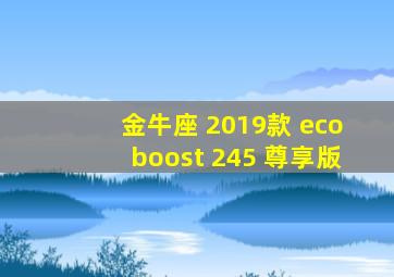 金牛座 2019款 ecoboost 245 尊享版